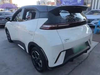 BYD Seagull 2024 купить из Китая, цена 1 287 000 ₽ — Suifenhe Auto