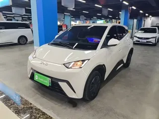 BYD Seagull 2024 купить из Китая, цена 1 236 000 ₽ — Suifenhe Auto