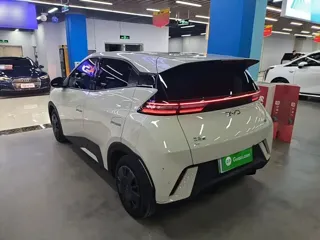 BYD Seagull 2024 купить из Китая, цена 1 236 000 ₽ — Suifenhe Auto