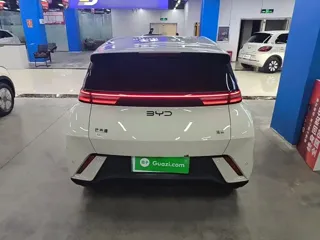 BYD Seagull 2024 купить из Китая, цена 1 236 000 ₽ — Suifenhe Auto