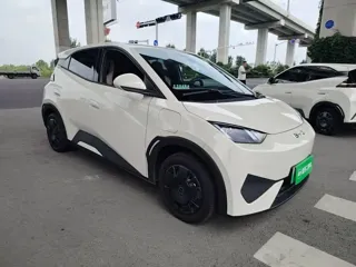 BYD Seagull 2025 купить из Китая, цена 1 372 000 ₽ — Suifenhe Auto