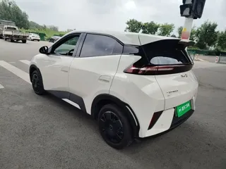 BYD Seagull 2025 купить из Китая, цена 1 372 000 ₽ — Suifenhe Auto