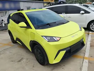 BYD Seagull 2024 купить из Китая, цена 1 230 000 ₽ — Suifenhe Auto