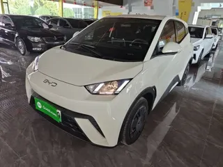 BYD Seagull 2025 купить из Китая, цена 1 281 000 ₽ — Suifenhe Auto