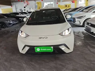 BYD Seagull 2025 купить из Китая, цена 1 281 000 ₽ — Suifenhe Auto