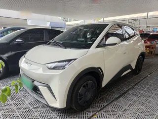 BYD Seagull 2024 купить из Китая, цена 1 287 000 ₽ — Suifenhe Auto