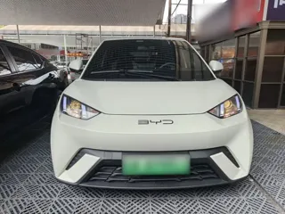 BYD Seagull 2024 купить из Китая, цена 1 287 000 ₽ — Suifenhe Auto