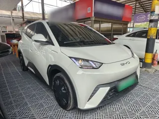 BYD Seagull 2024 купить из Китая, цена 1 287 000 ₽ — Suifenhe Auto