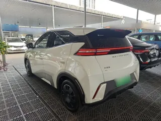 BYD Seagull 2024 купить из Китая, цена 1 287 000 ₽ — Suifenhe Auto