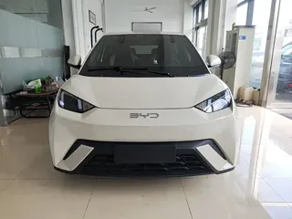 BYD Seagull 2024 купить из Китая, цена 1 270 000 ₽ — Suifenhe Auto