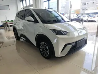 BYD Seagull 2024 купить из Китая, цена 1 270 000 ₽ — Suifenhe Auto