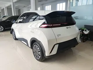 BYD Seagull 2024 купить из Китая, цена 1 270 000 ₽ — Suifenhe Auto