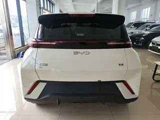 BYD Seagull 2024 купить из Китая, цена 1 270 000 ₽ — Suifenhe Auto