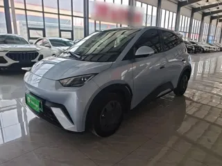 BYD Seagull 2024 купить из Китая, цена 1 318 000 ₽ — Suifenhe Auto
