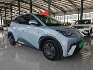 BYD Seagull 2024 купить из Китая, цена 1 318 000 ₽ — Suifenhe Auto