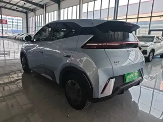 BYD Seagull 2024 купить из Китая, цена 1 318 000 ₽ — Suifenhe Auto