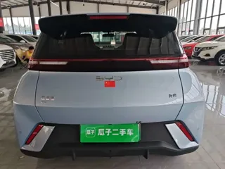 BYD Seagull 2024 купить из Китая, цена 1 318 000 ₽ — Suifenhe Auto