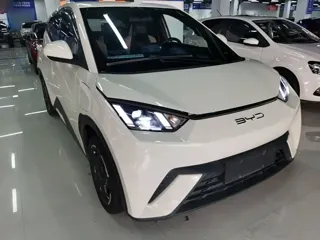 BYD Seagull 2024 купить из Китая, цена 1 339 000 ₽ — Suifenhe Auto