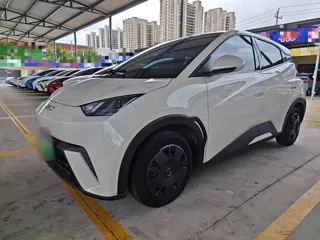 BYD Seagull 2025 купить из Китая, цена 1 296 000 ₽ — Suifenhe Auto