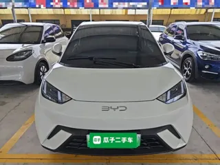 BYD Seagull 2025 купить из Китая, цена 1 296 000 ₽ — Suifenhe Auto