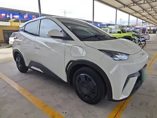 BYD Seagull 2025 купить из Китая, цена 1 296 000 ₽ — Suifenhe Auto