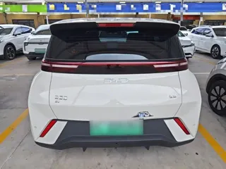 BYD Seagull 2025 купить из Китая, цена 1 296 000 ₽ — Suifenhe Auto