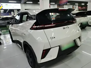 BYD Seagull 2026 купить из Китая, цена 1 488 000 ₽ — Suifenhe Auto