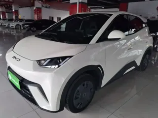 BYD Seagull 2023 купить из Китая, цена 1 245 000 ₽ — Suifenhe Auto