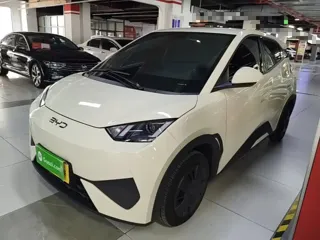 BYD Seagull 2026 купить из Китая, цена 1 474 000 ₽ — Suifenhe Auto