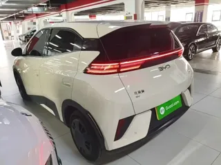BYD Seagull 2026 купить из Китая, цена 1 474 000 ₽ — Suifenhe Auto