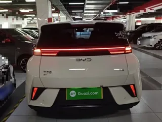 BYD Seagull 2026 купить из Китая, цена 1 474 000 ₽ — Suifenhe Auto