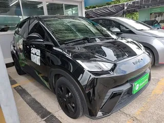 BYD Seagull 2023 купить из Китая, цена 1 223 000 ₽ — Suifenhe Auto