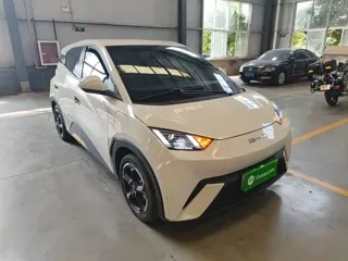 BYD Seagull 2024 купить из Китая, цена 1 210 000 ₽ — Suifenhe Auto