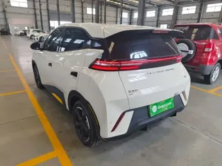 BYD Seagull 2024 купить из Китая, цена 1 210 000 ₽ — Suifenhe Auto