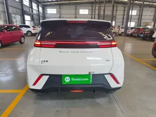 BYD Seagull 2024 купить из Китая, цена 1 210 000 ₽ — Suifenhe Auto