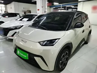 BYD Seagull 2024 купить из Китая, цена 1 452 000 ₽ — Suifenhe Auto