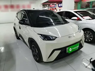 BYD Seagull 2024 купить из Китая, цена 1 452 000 ₽ — Suifenhe Auto