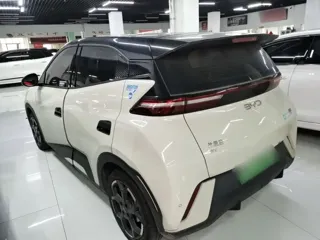 BYD Seagull 2024 купить из Китая, цена 1 452 000 ₽ — Suifenhe Auto