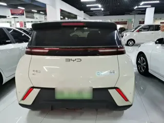 BYD Seagull 2024 купить из Китая, цена 1 452 000 ₽ — Suifenhe Auto