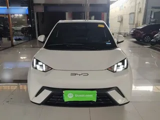 BYD Seagull 2023 купить из Китая, цена 1 216 000 ₽ — Suifenhe Auto