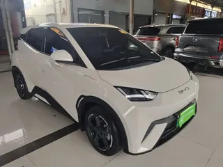 BYD Seagull 2023 купить из Китая, цена 1 216 000 ₽ — Suifenhe Auto