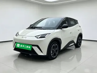 BYD Seagull 2024 купить из Китая, цена 1 334 000 ₽ — Suifenhe Auto