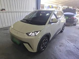 BYD Seagull 2024 купить из Китая, цена 1 263 000 ₽ — Suifenhe Auto