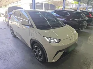 BYD Seagull 2024 купить из Китая, цена 1 263 000 ₽ — Suifenhe Auto