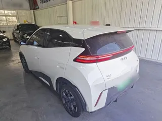 BYD Seagull 2024 купить из Китая, цена 1 263 000 ₽ — Suifenhe Auto
