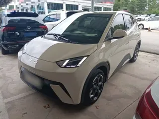 BYD Seagull 2025 купить из Китая, цена 1 463 000 ₽ — Suifenhe Auto