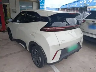 BYD Seagull 2025 купить из Китая, цена 1 463 000 ₽ — Suifenhe Auto