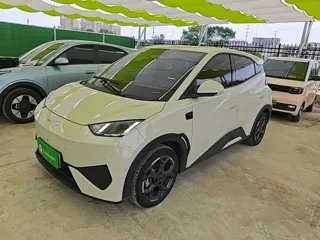 BYD Seagull 2025 купить из Китая, цена 1 494 000 ₽ — Suifenhe Auto