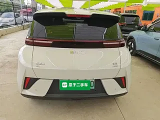 BYD Seagull 2025 купить из Китая, цена 1 494 000 ₽ — Suifenhe Auto