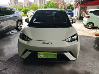 BYD Seagull 2024 купить из Китая, цена 1 280 000 ₽ — Suifenhe Auto